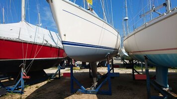 DSC_0986.JPG